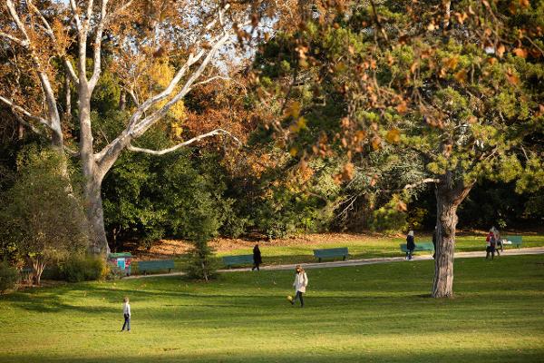 Visite aux malades hospitalisés