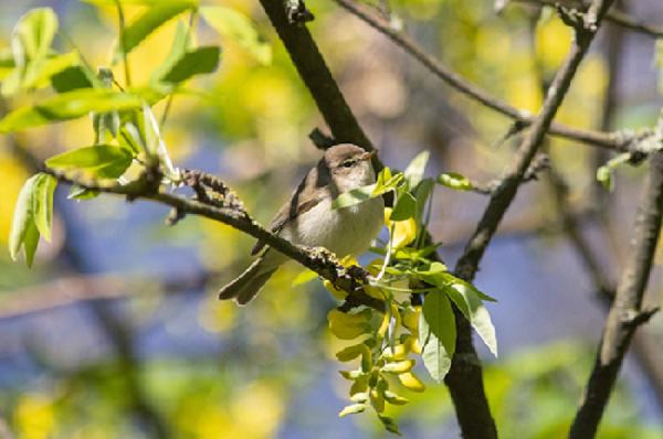 Ateliers bénévoles dans les pépinières de quartier